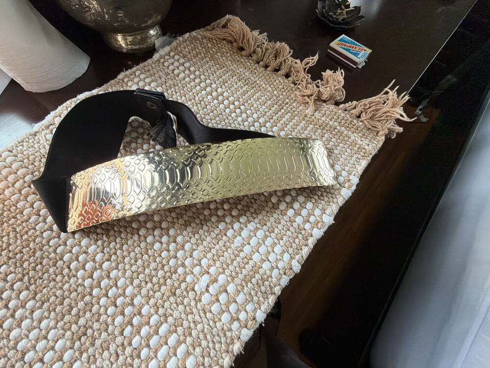 bebe Gold Snake Scale Metallic Plate Elastic Cinch Waist Belt Size P/S